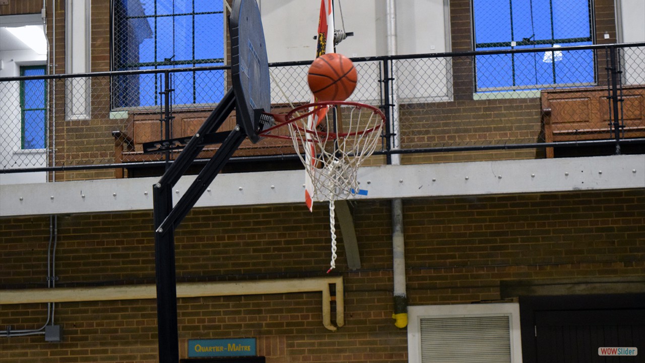 DSC_1504